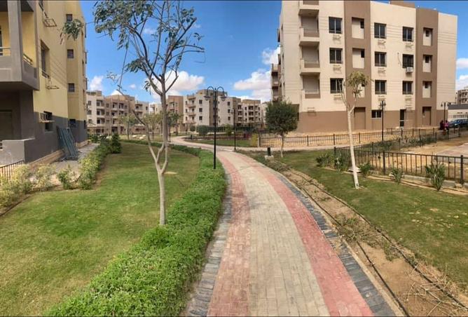7974886 - صورة العقار 2