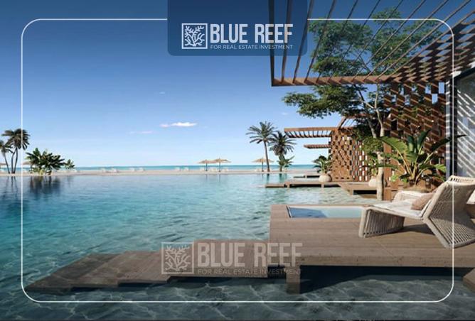 8409785 - Property Image 2