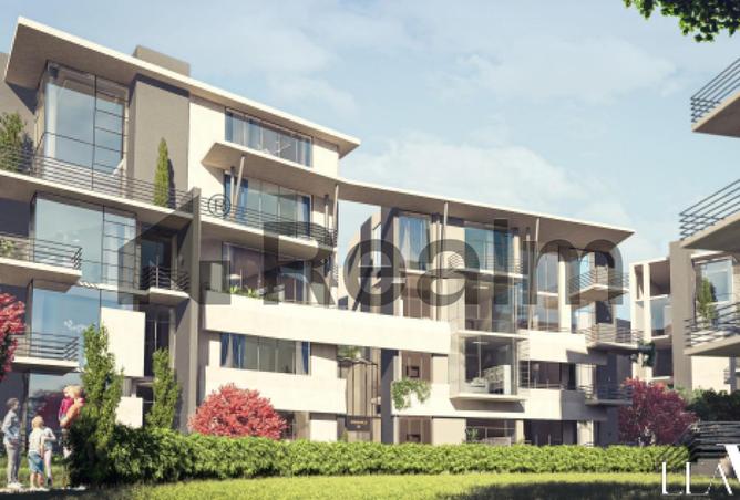 8386154 - Property Image 3