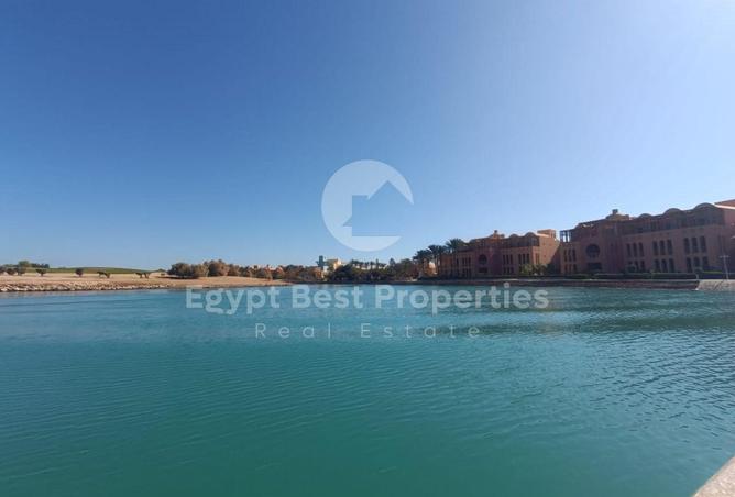 8325865 - Property Image 3