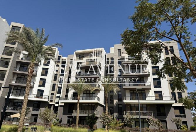 8446558 - Property Image 3