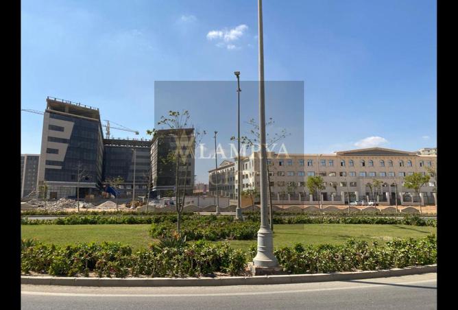 8425619 - Property Image 3