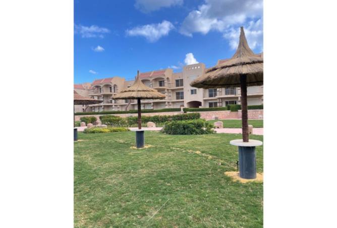 8291563 - Property Image 2