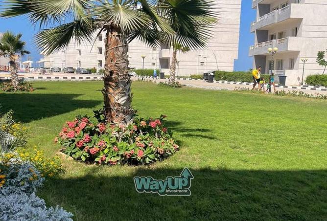 8328091 - Property Image 3