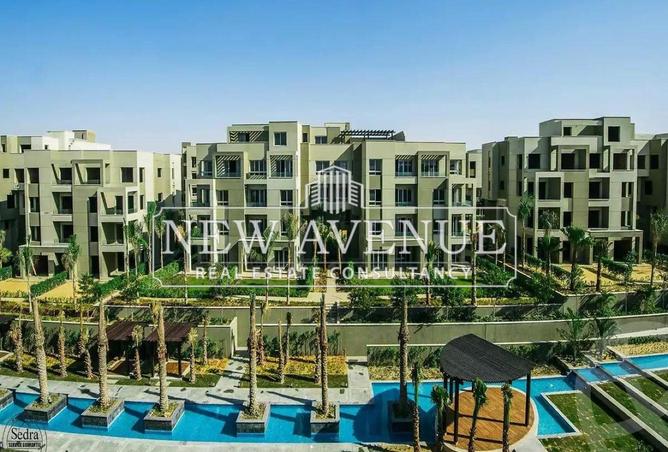 8357407 - Property Image 3