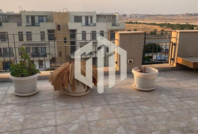 8442212 - Property Image 3