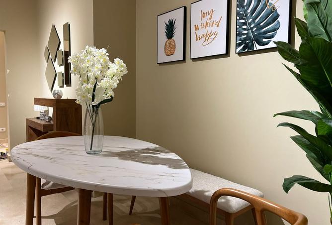 8087227 - Property Image 3