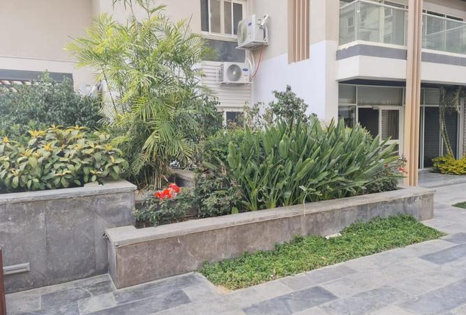 8167439 - صورة العقار 2