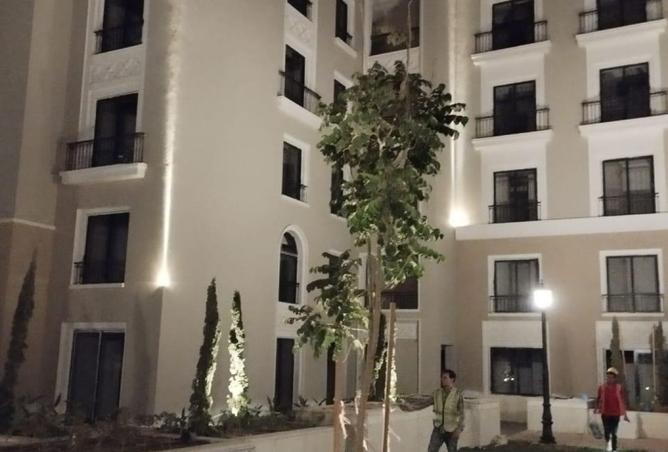 8440379 - صورة العقار 3