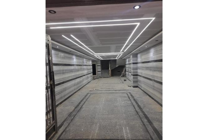 8385257 - Property Image 3