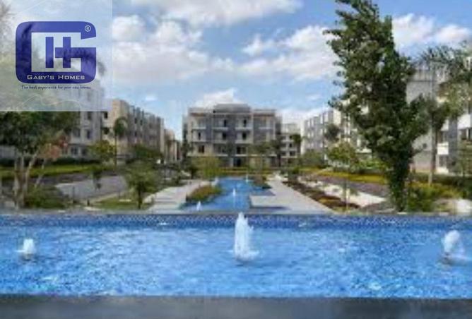 8503974 - Property Image 3