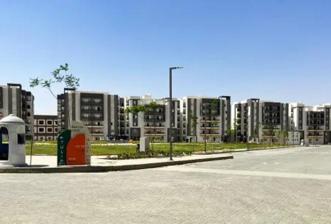 8453382 - Property Image 3