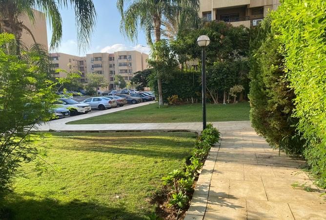 7983784 - Property Image 3