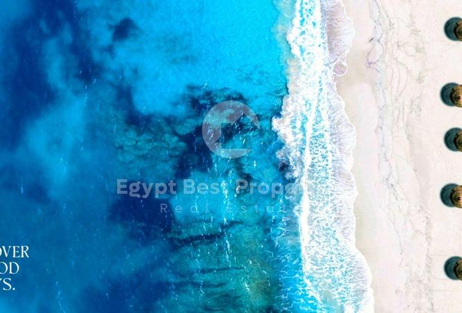 7957115 - صورة العقار 3