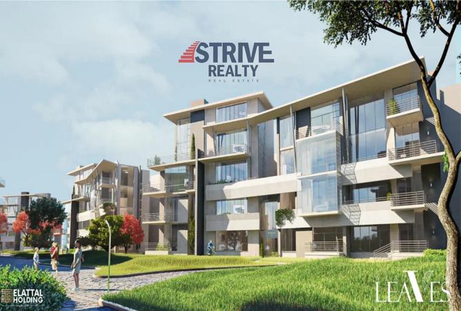 8364262 - Property Image 3