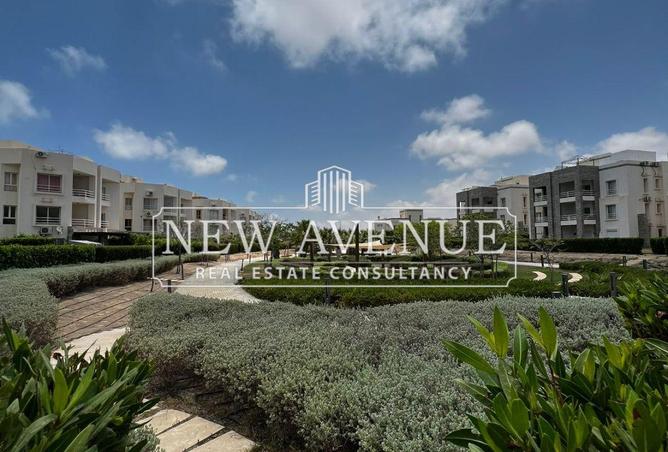 8165130 - Property Image 2