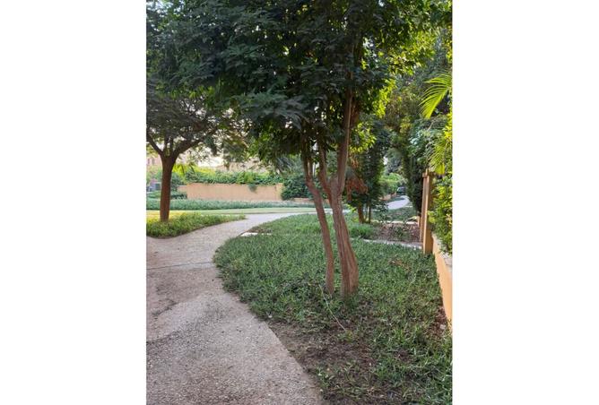 8237480 - Property Image 3