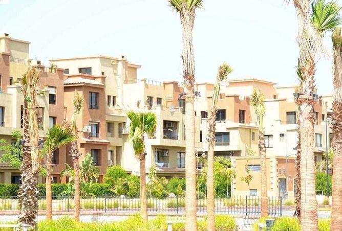 8113441 - صورة العقار 3
