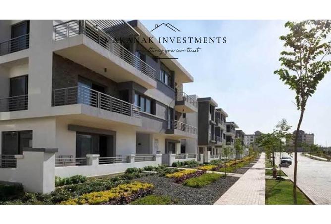 7937104 - Property Image 3