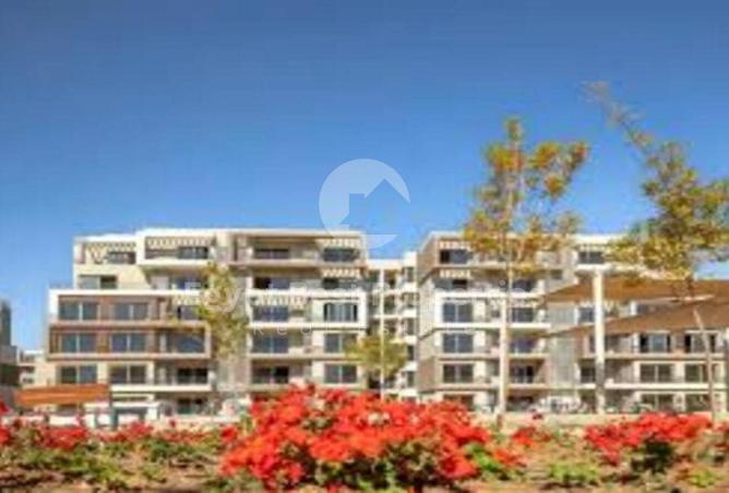 8215305 - Property Image 2