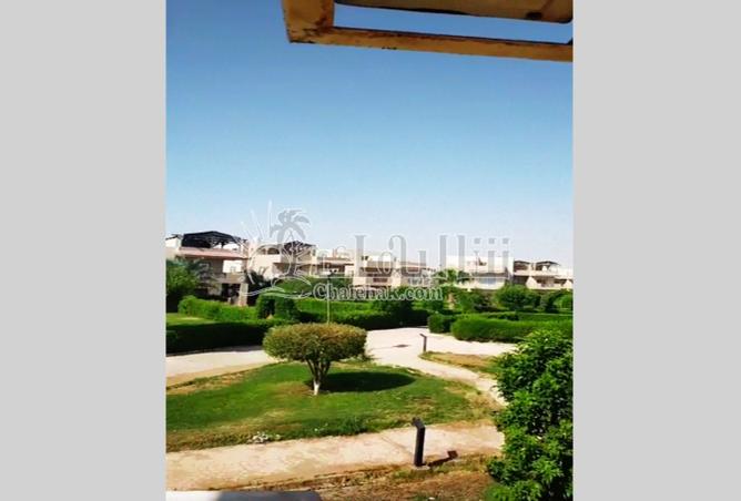8135525 - صورة العقار 2