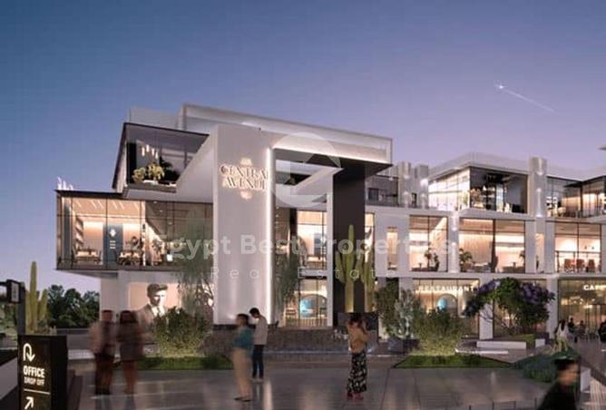 8427765 - Property Image 3