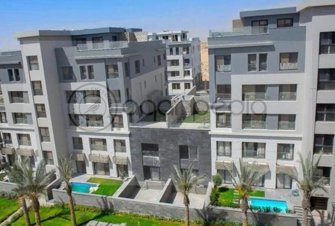 8193291 - Property Image 3