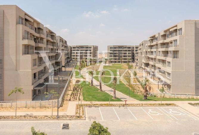 8276521 - Property Image 2