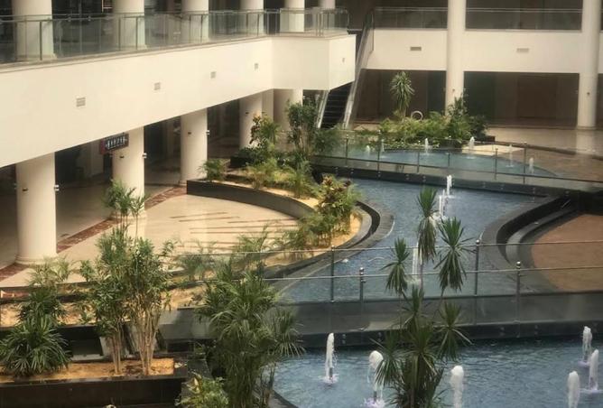 8174215 - صورة العقار 2