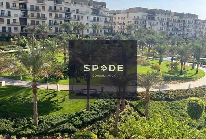 8027386 - الصورة الرئيسية للعقار