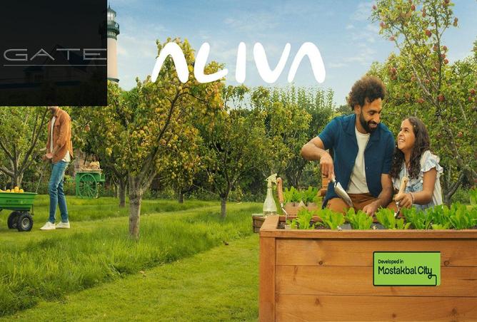 8195716 - صورة العقار 3