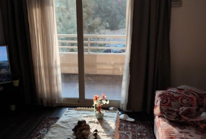 8047279 - Property Image 3