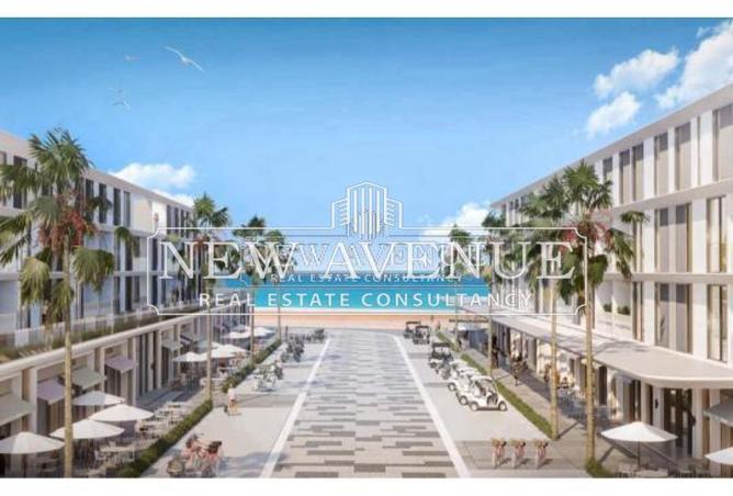 8338306 - Property Image 2