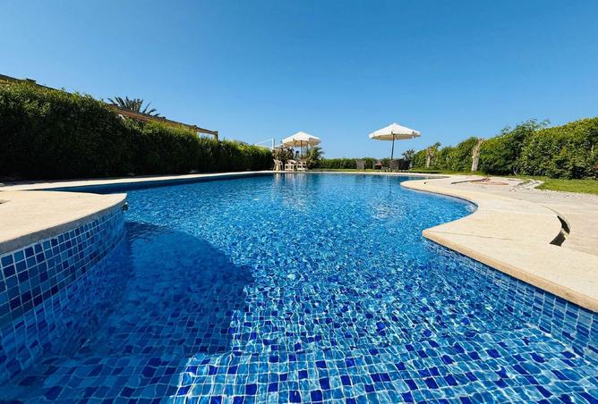 8289332 - Property Image 3