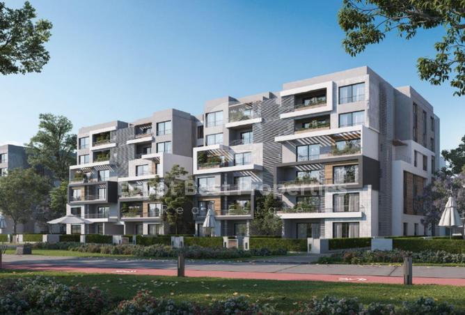 8488369 - Property Image 3