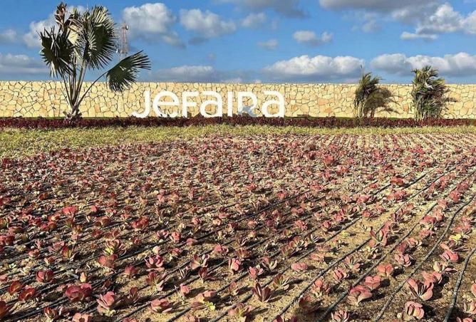 8425987 - Property Image 2