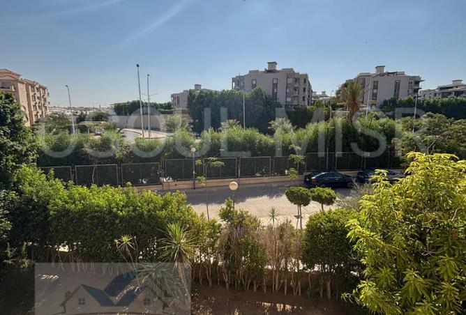 8096100 - Property Image 3
