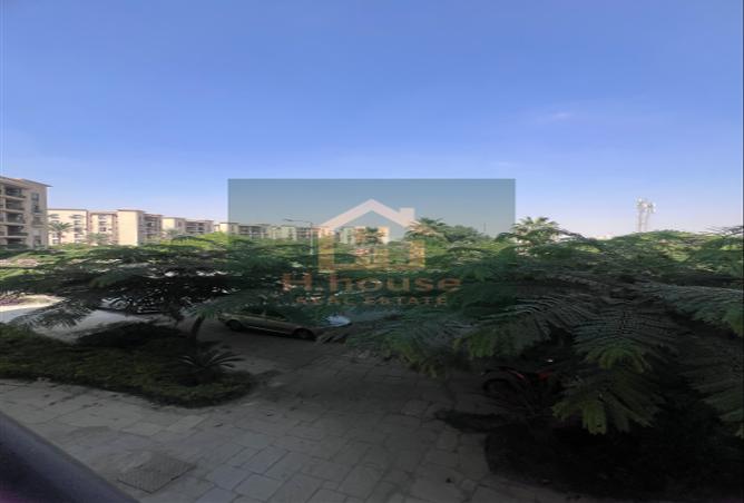 7969466 - صورة العقار 3