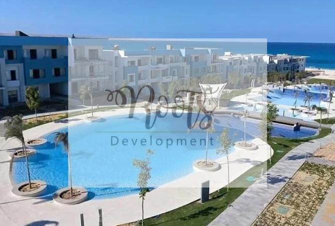 8073293 - Property Image 3