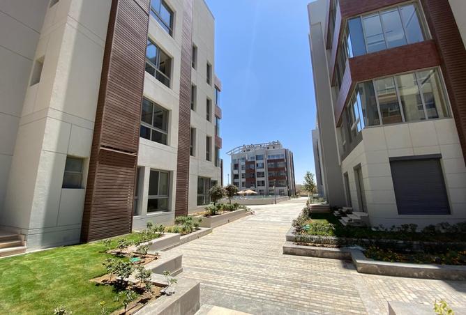 8453534 - Property Image 3