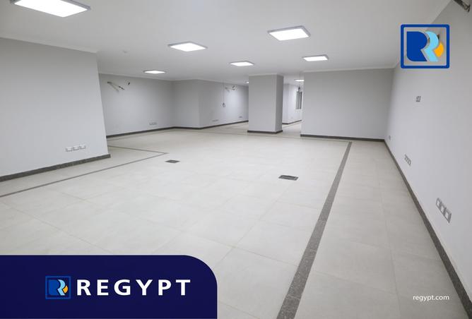 7973033 - Property Image 3