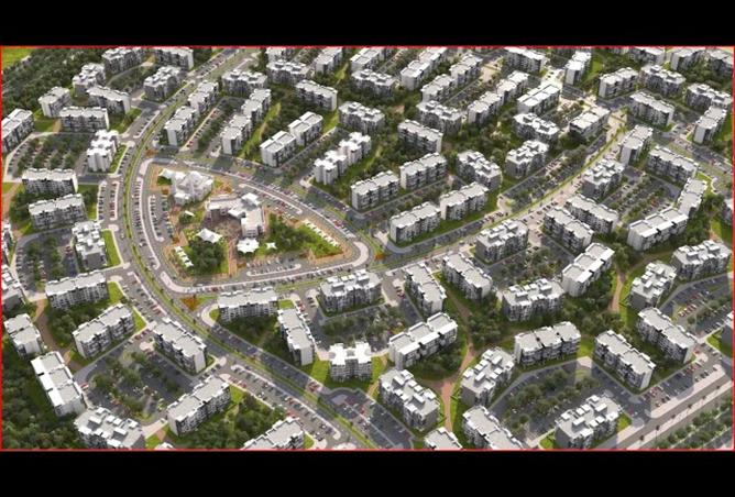 8226731 - Property Image 3