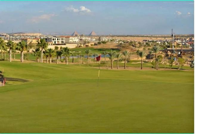 8431808 - Property Image 3