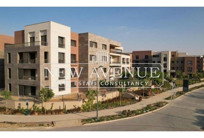 8168963 - Property Image 3