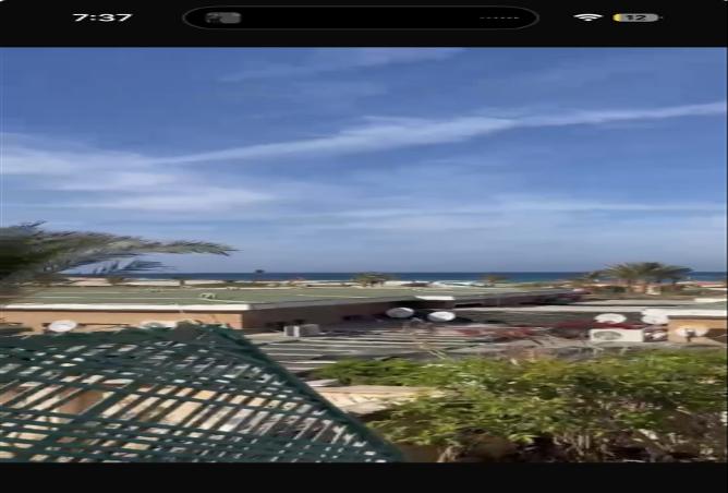 8369303 - صورة العقار 3