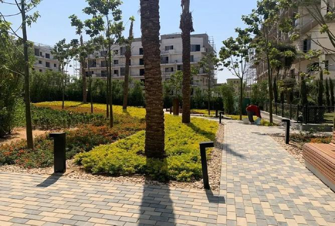 7993726 - صورة العقار 3