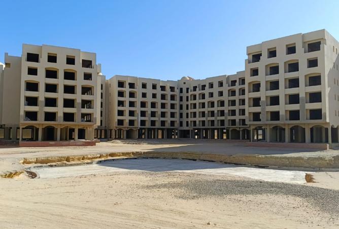 8146758 - صورة العقار 2