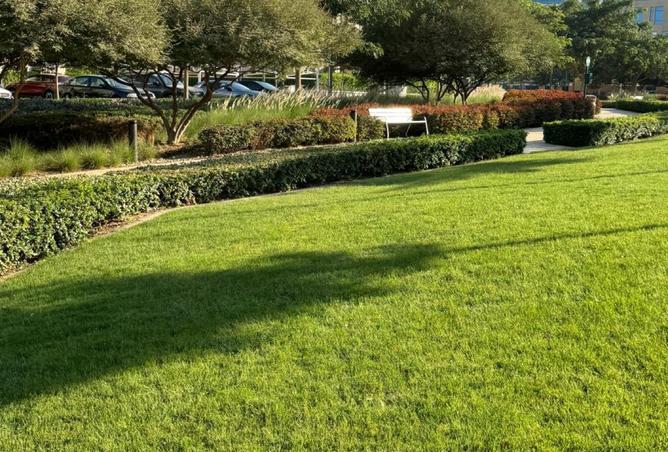 8372091 - صورة العقار 3