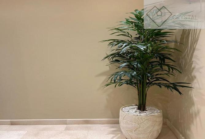 8151140 - صورة العقار 3