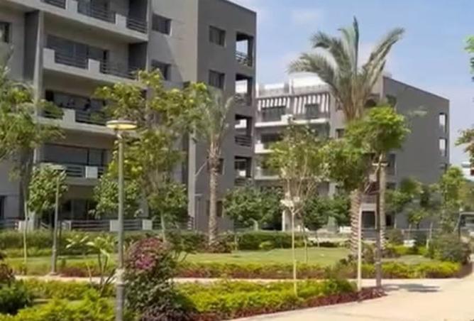 8164876 - صورة العقار 2